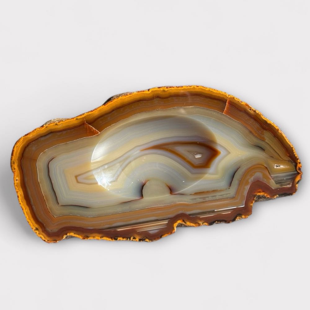 Portafoglio Donna In Vera Pelle Con Zip - Made In Italy, Accessori Oro, 19x10x2 Cm